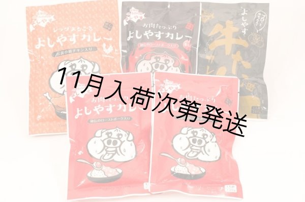 画像1: なんと全国送料無料！！【好きなカレーを５袋選べる】大人気！よしやすカレーセット  【同梱不可】 (1)