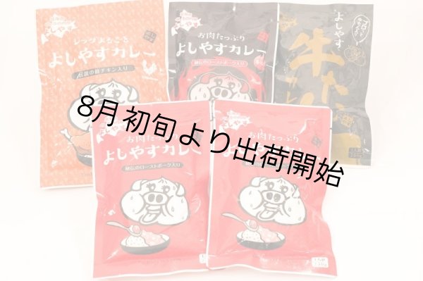 画像1: なんと全国送料無料！！【好きなカレーを５袋選べる】大人気！よしやすカレーセット  【同梱不可】 (1)