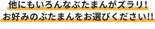 他にも色んなぶたまんがズラリ!お好みのぶたまんをお選びください!!