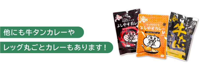 他にも牛タンカレーやレッグ丸ごとカレーもあります!